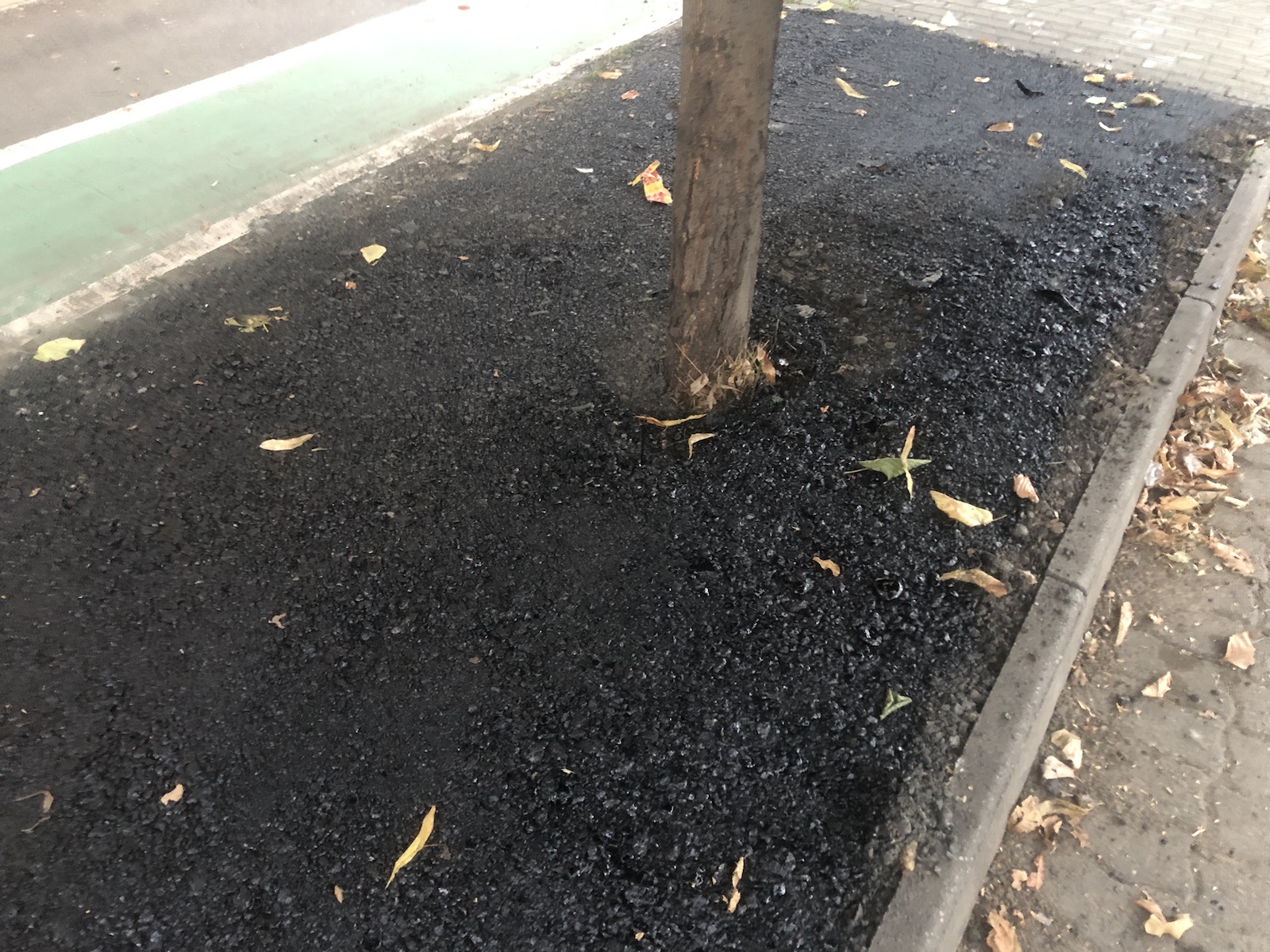 copac bitum material frezat str ciprian porumbescu dorel 8