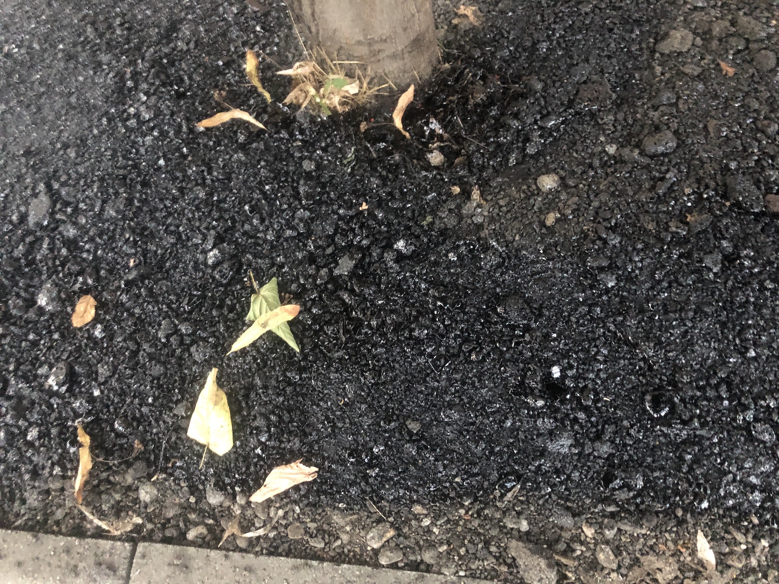 copac bitum material frezat str ciprian porumbescu dorel 9