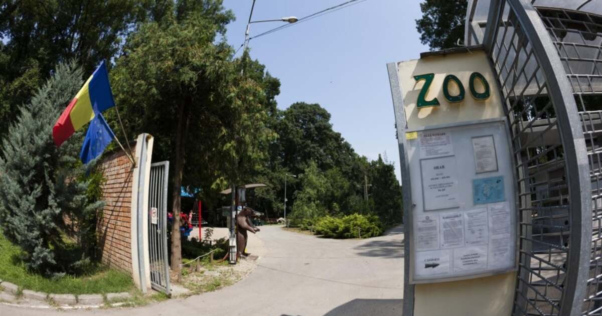 Grădina zoologică din Timișoara va rămâne închisă pentru mult timp, decizia Roxanei Iliescu a fost respinsă. Grădina zoologică din Timișoara va rămâne închisă pentru mult timp, decizia Roxanei Iliescu a fost respinsă.