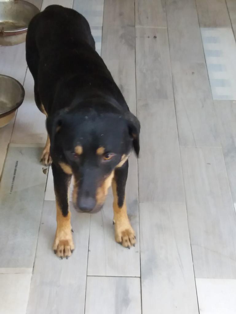 WhatsApp Image 2020-09-23 at 13.02.44