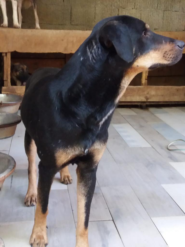 WhatsApp Image 2020-09-23 at 13.02.44 (1)