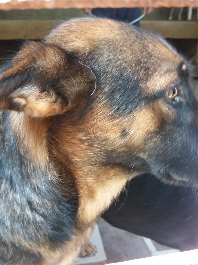 WhatsApp Image 2020-09-23 at 13.02.44 (2)