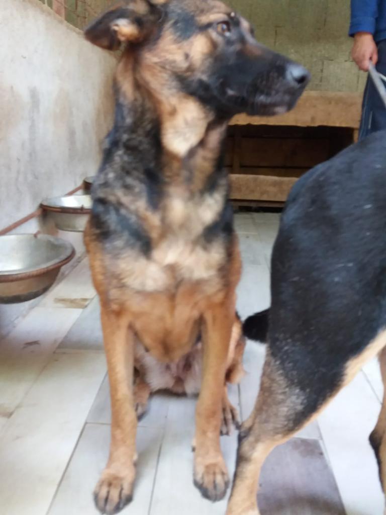 WhatsApp Image 2020-09-23 at 13.02.44 (3)