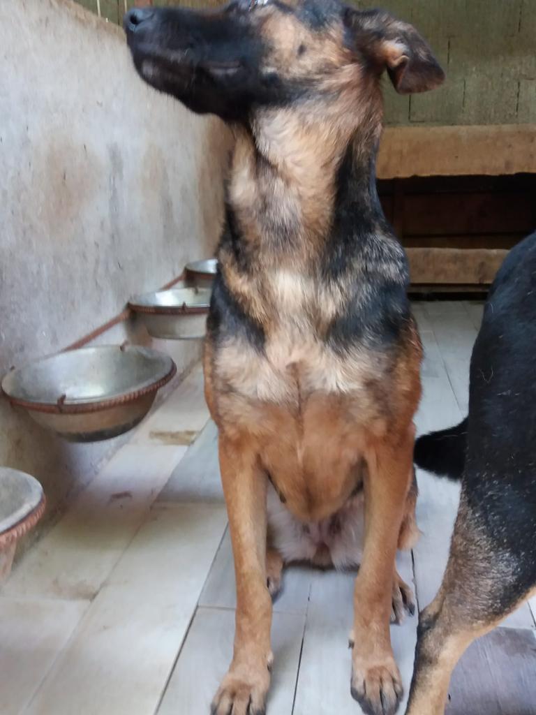 WhatsApp Image 2020-09-23 at 13.02.44 (4)