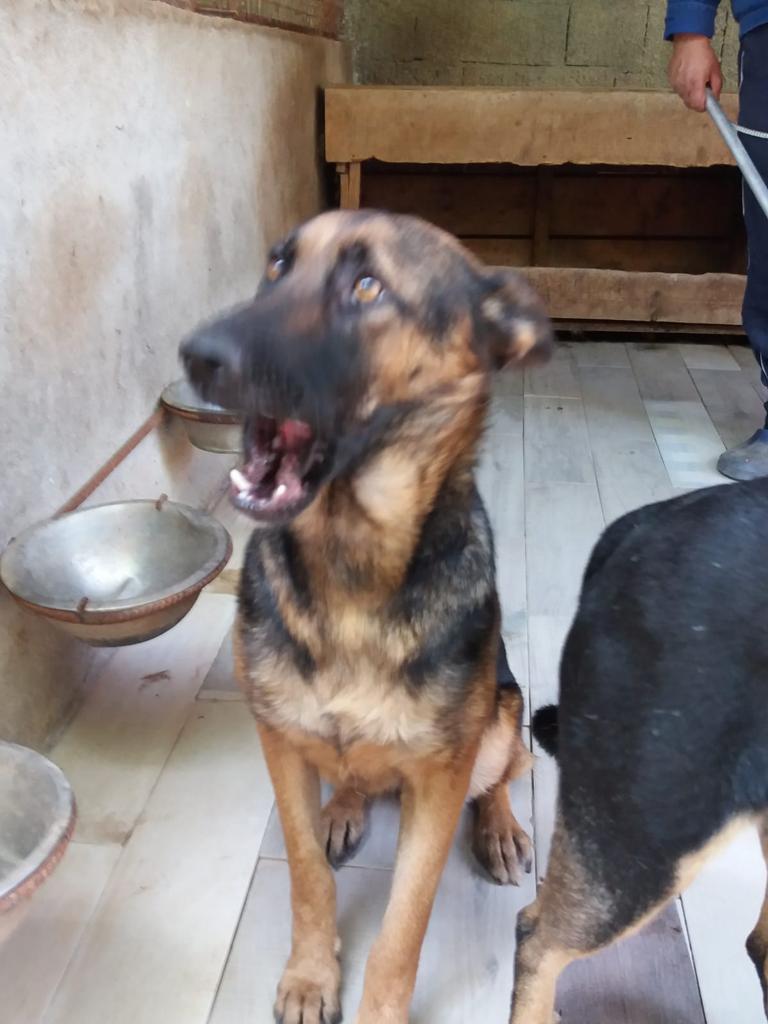 WhatsApp Image 2020-09-23 at 13.02.44 (5)