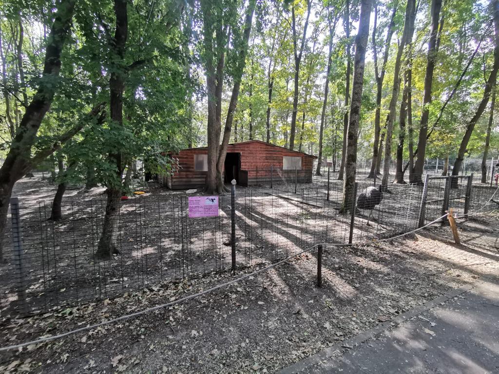 WhatsApp Image 2020-09-23 at 13.06.41