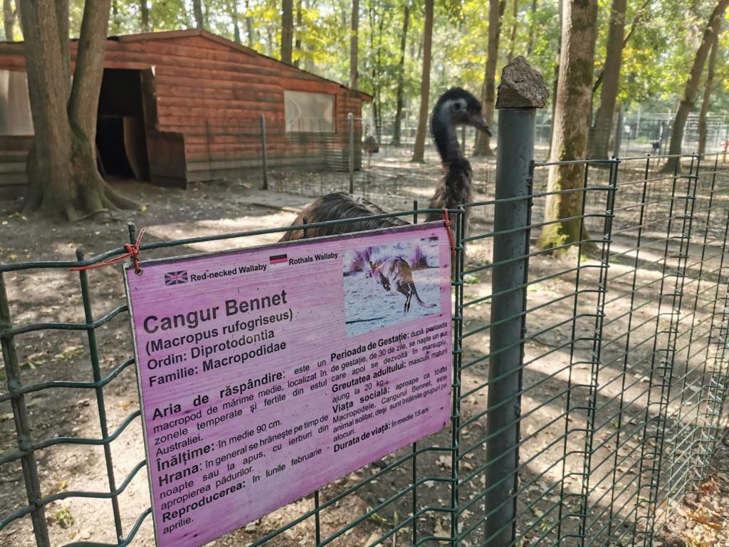 WhatsApp Image 2020-09-23 at 13.06.41 (1)