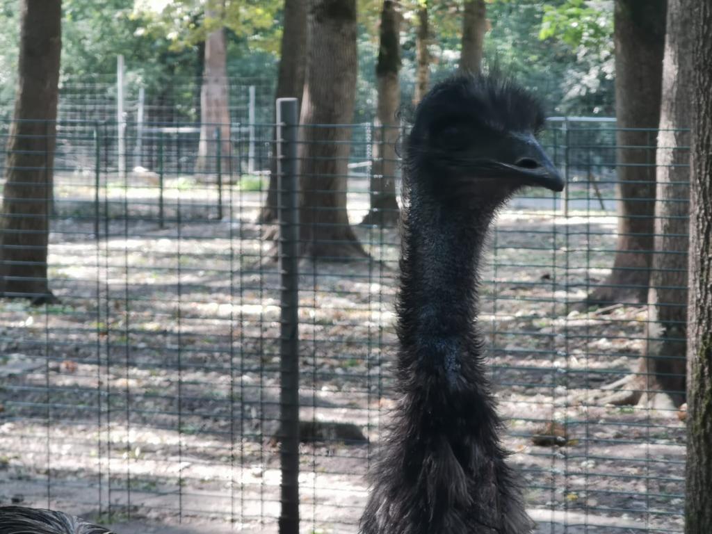 WhatsApp Image 2020-09-23 at 13.06.41 (2)