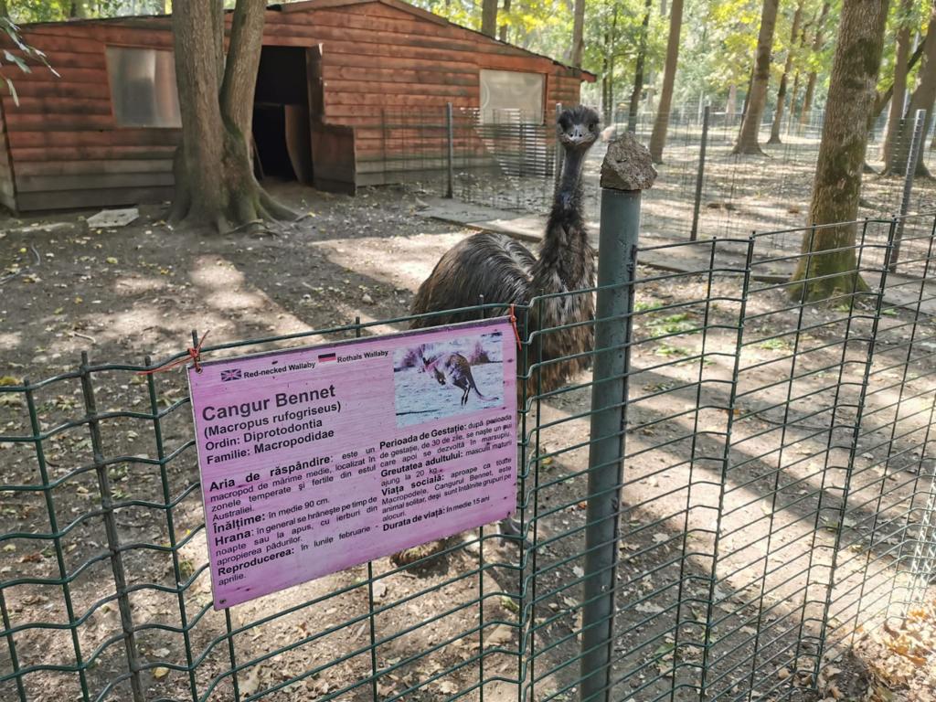 WhatsApp Image 2020-09-23 at 13.06.41 (3)