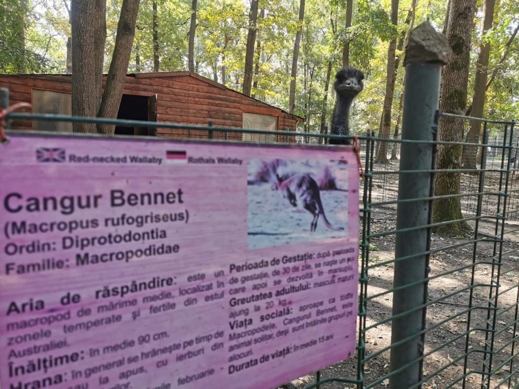 WhatsApp Image 2020-09-23 at 13.06.41 (4)