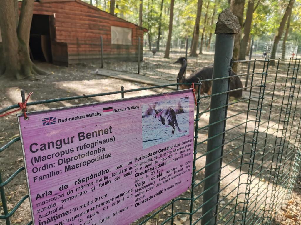 Carnagiu la Zoo Timișoara