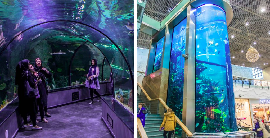 aquapark proiect cristescu 2