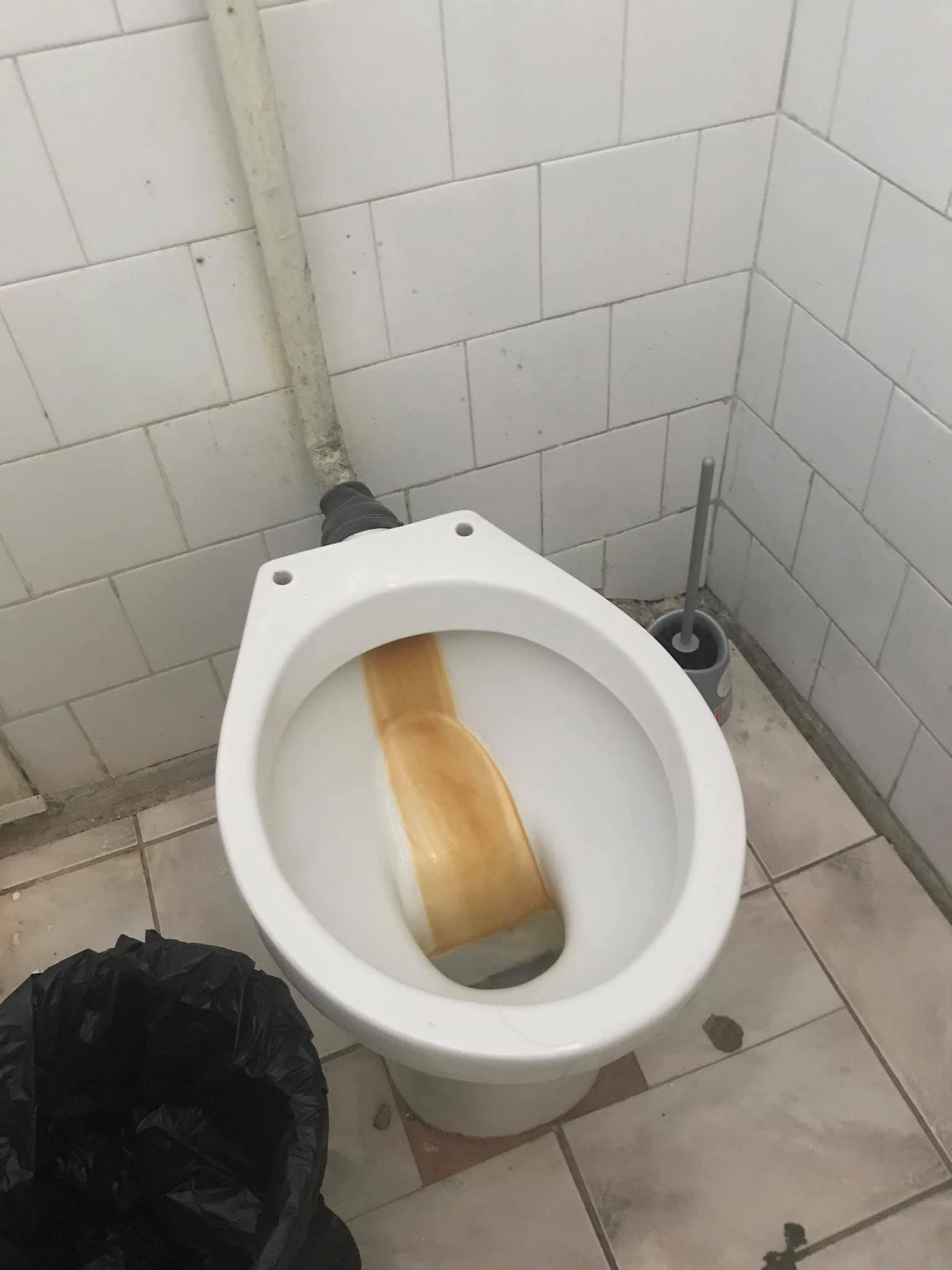 conditii mizere la liceul de arte plastice din timisoara toaleta insalubra 11