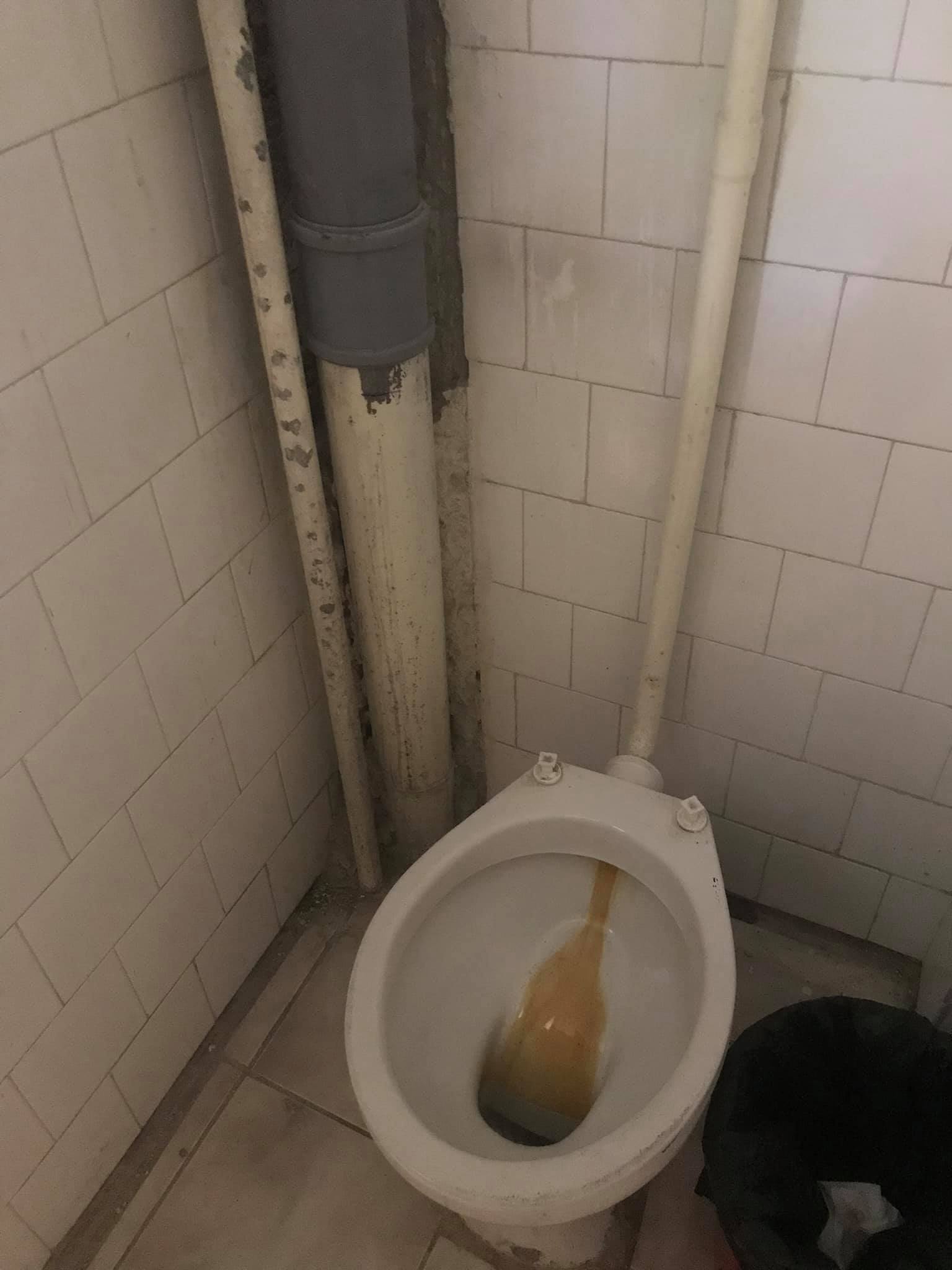 conditii mizere la liceul de arte plastice din timisoara toaleta insalubra 2