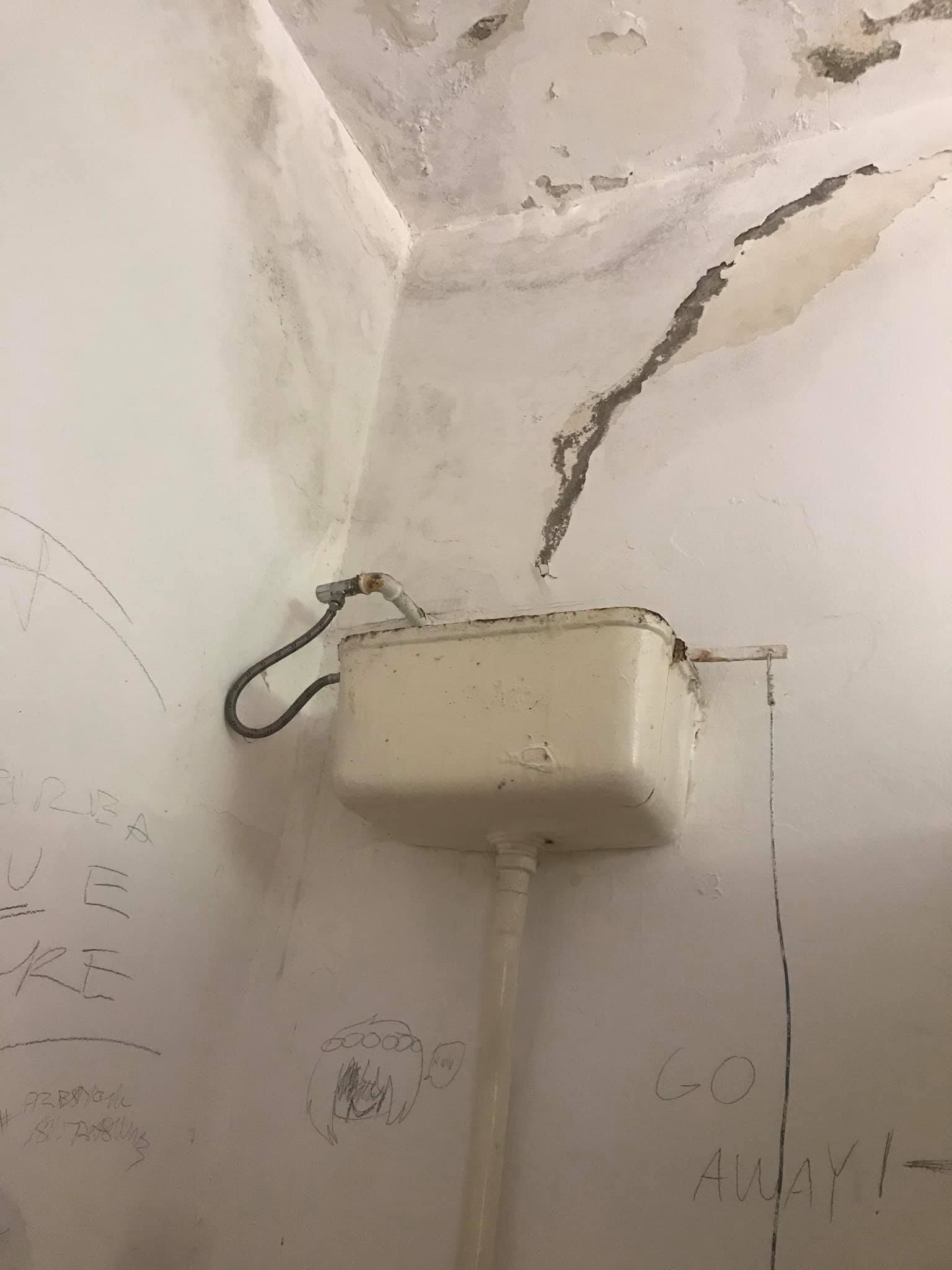 conditii mizere la liceul de arte plastice din timisoara toaleta insalubra 8