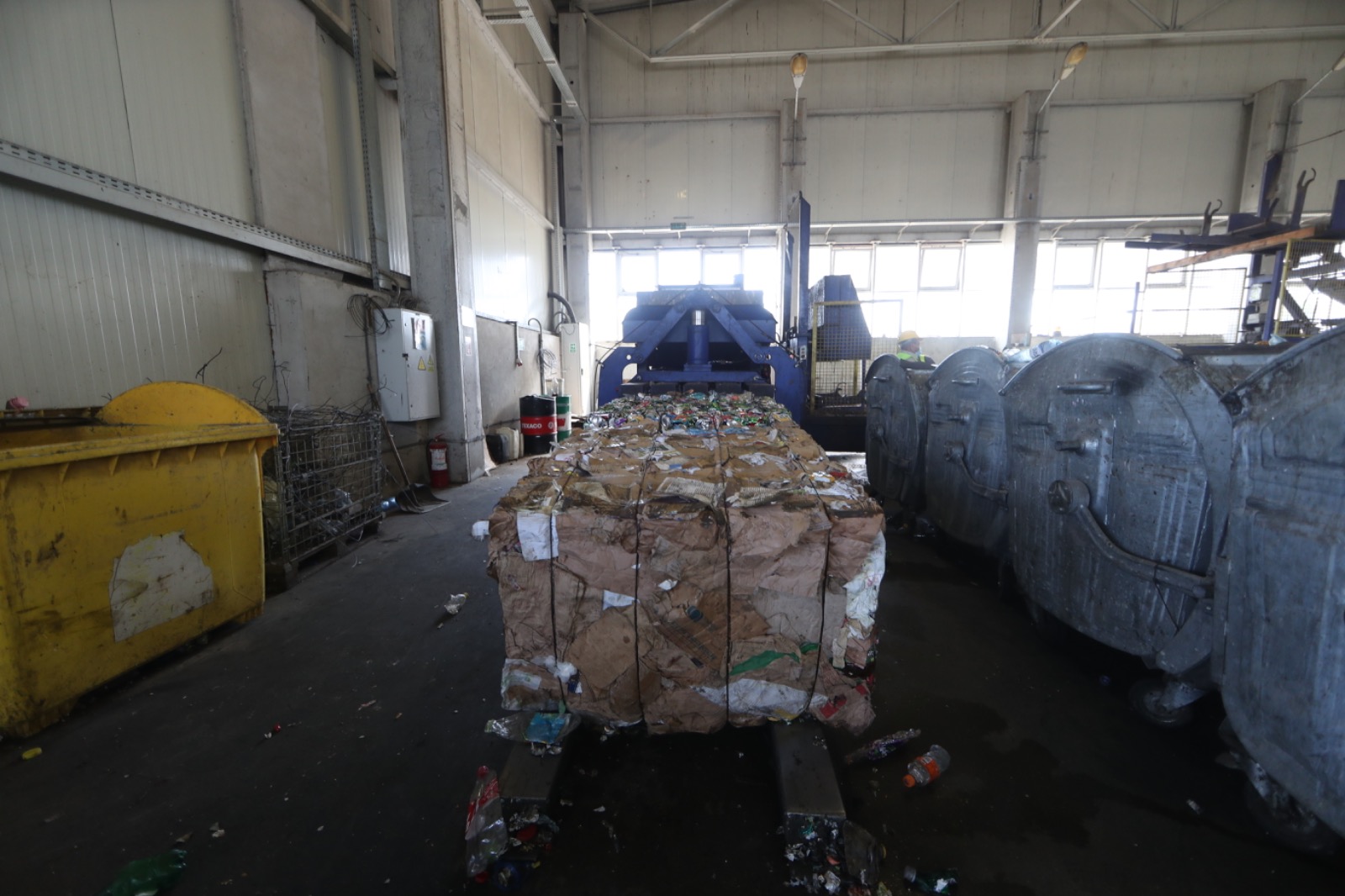 deponeu foto Dani amariei (15)