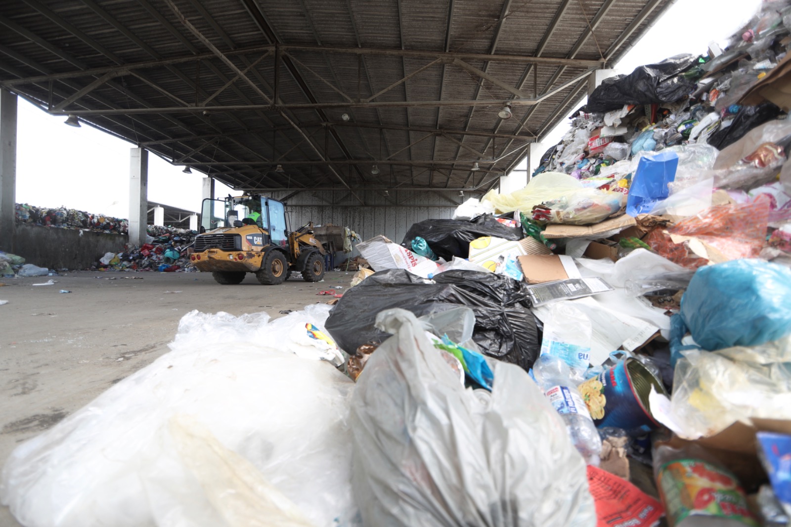 deponeu foto Dani amariei (16)