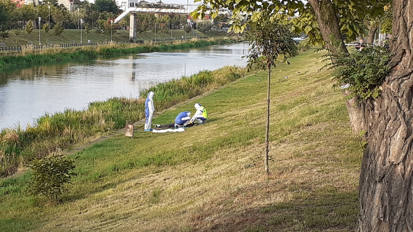 WhatsApp Image 2020-10-02 at 08.57.25