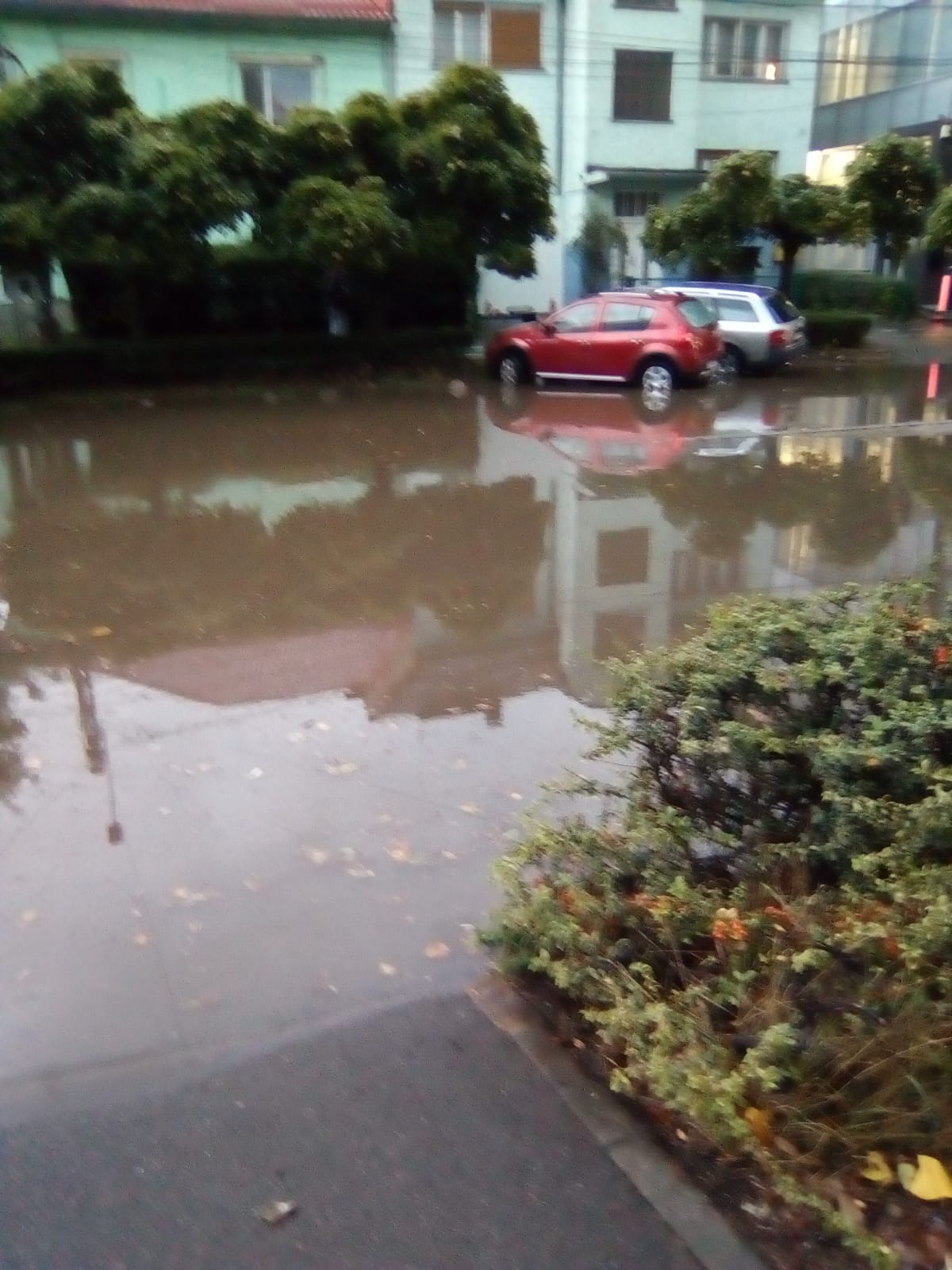 WhatsApp Image 2020-10-06 at 11.13.20 (2)