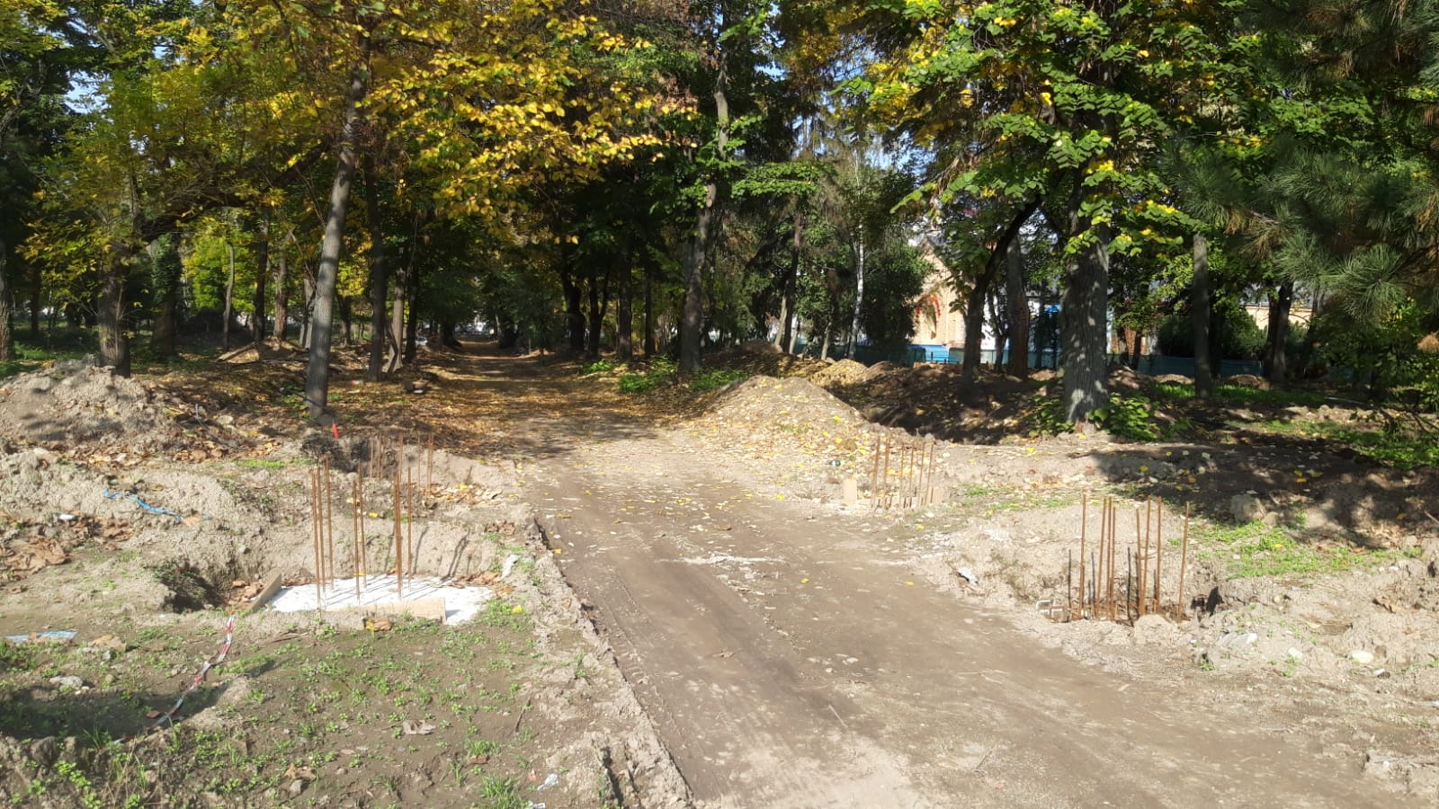 WhatsApp Image 2020-10-29 at 12.35.36