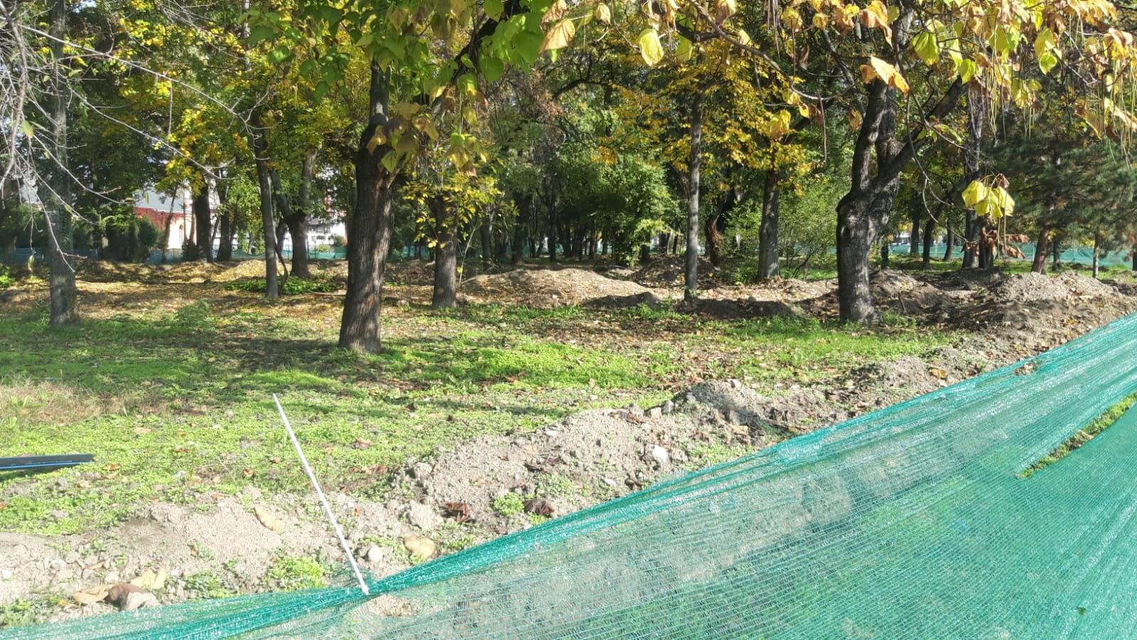 WhatsApp Image 2020-10-29 at 12.35.36(1)