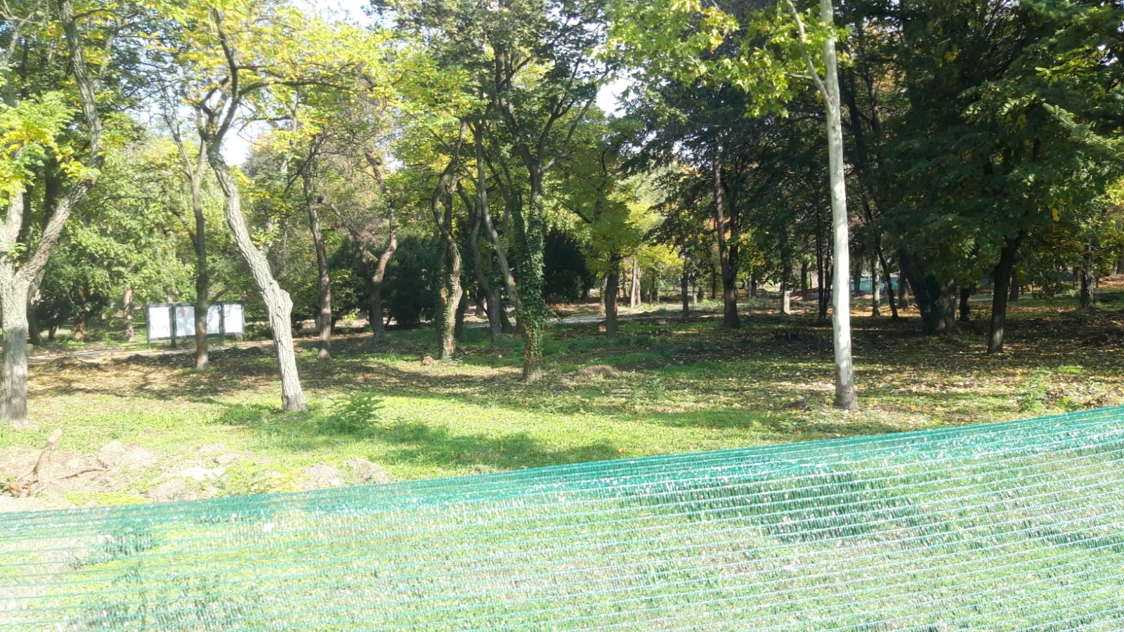 WhatsApp Image 2020-10-29 at 12.35.36(2)