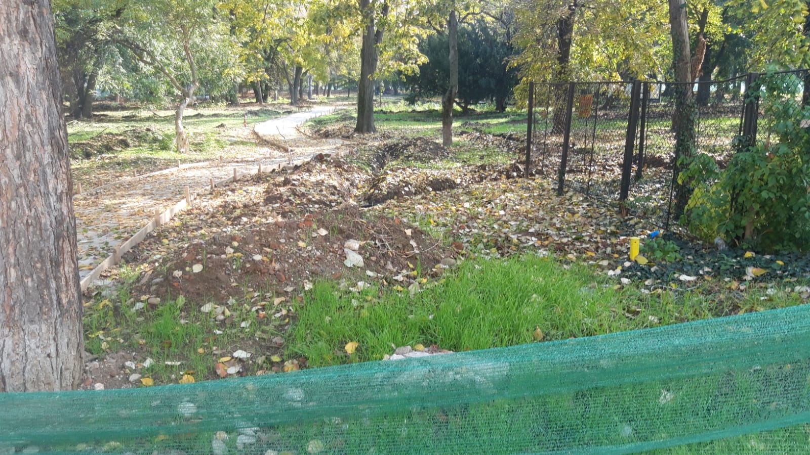 WhatsApp Image 2020-10-29 at 12.35.37(1)