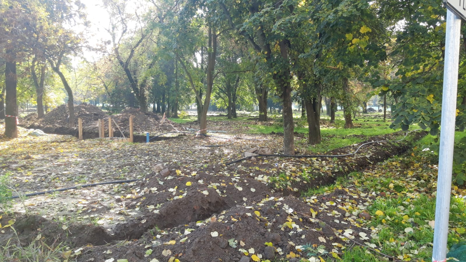 WhatsApp Image 2020-10-29 at 12.35.37(2)