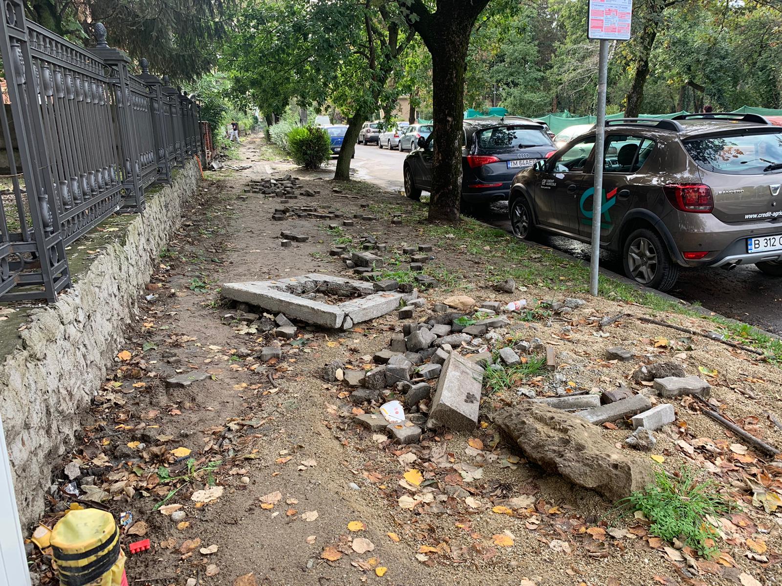 trotuare noroaie bd. mihai eminescu 2