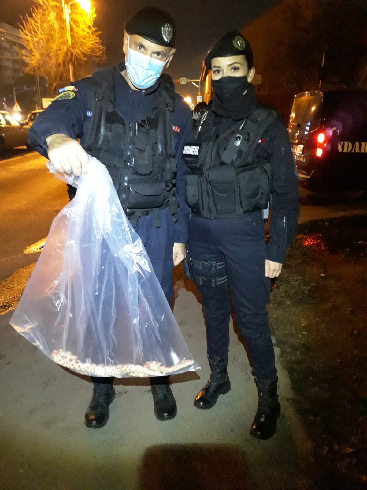 Sursă foto: IJJ Timiș