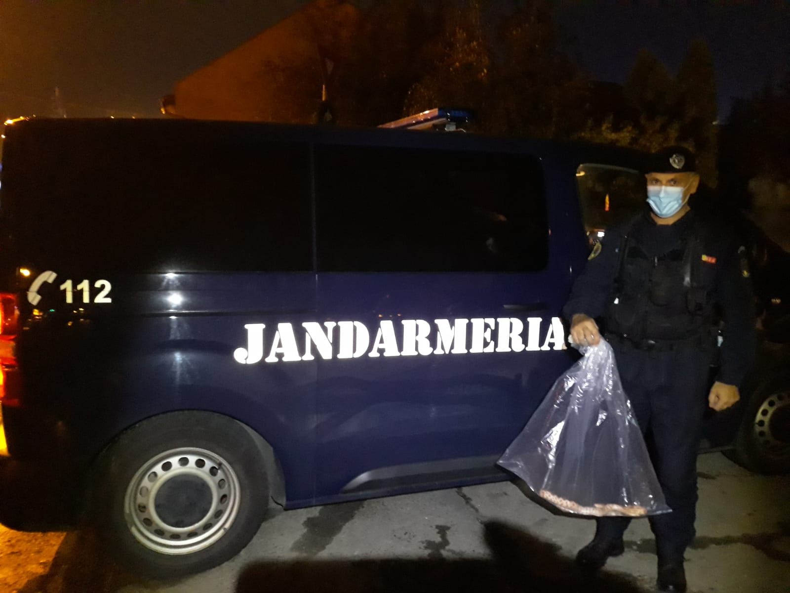 Sursă foto: IJJ Timiș