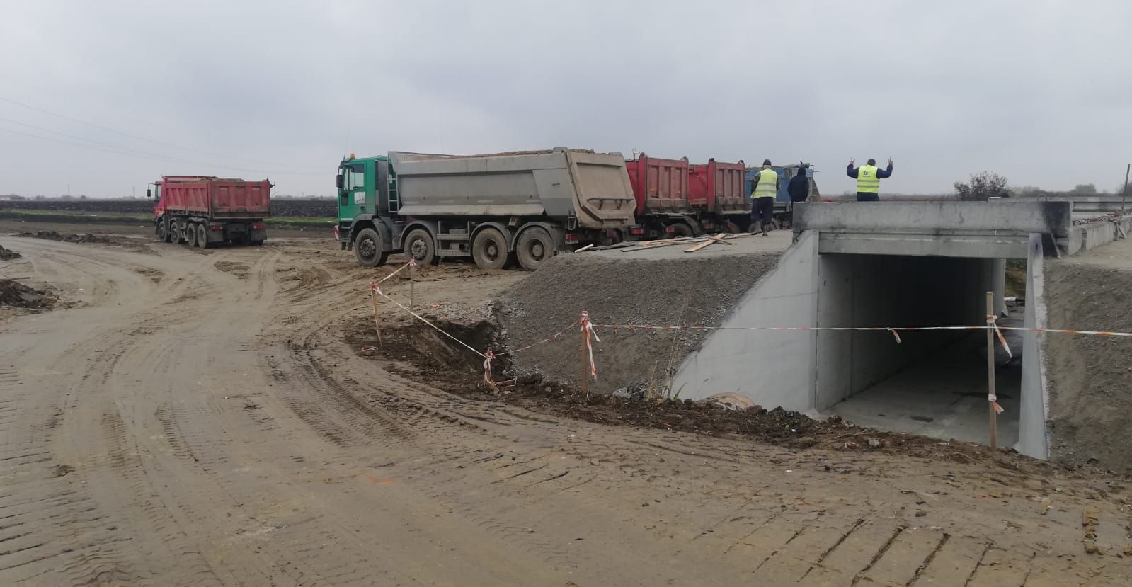 126137268_1250979205264660_1967072380117418231_o