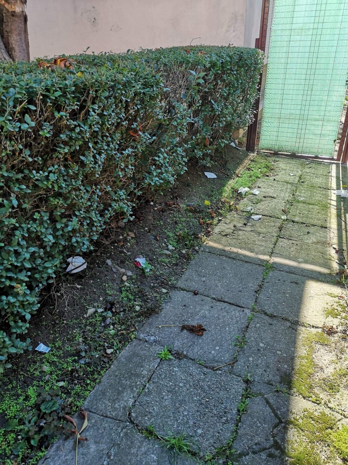 WhatsApp Image 2020-11-19 at 16.46.30(3)