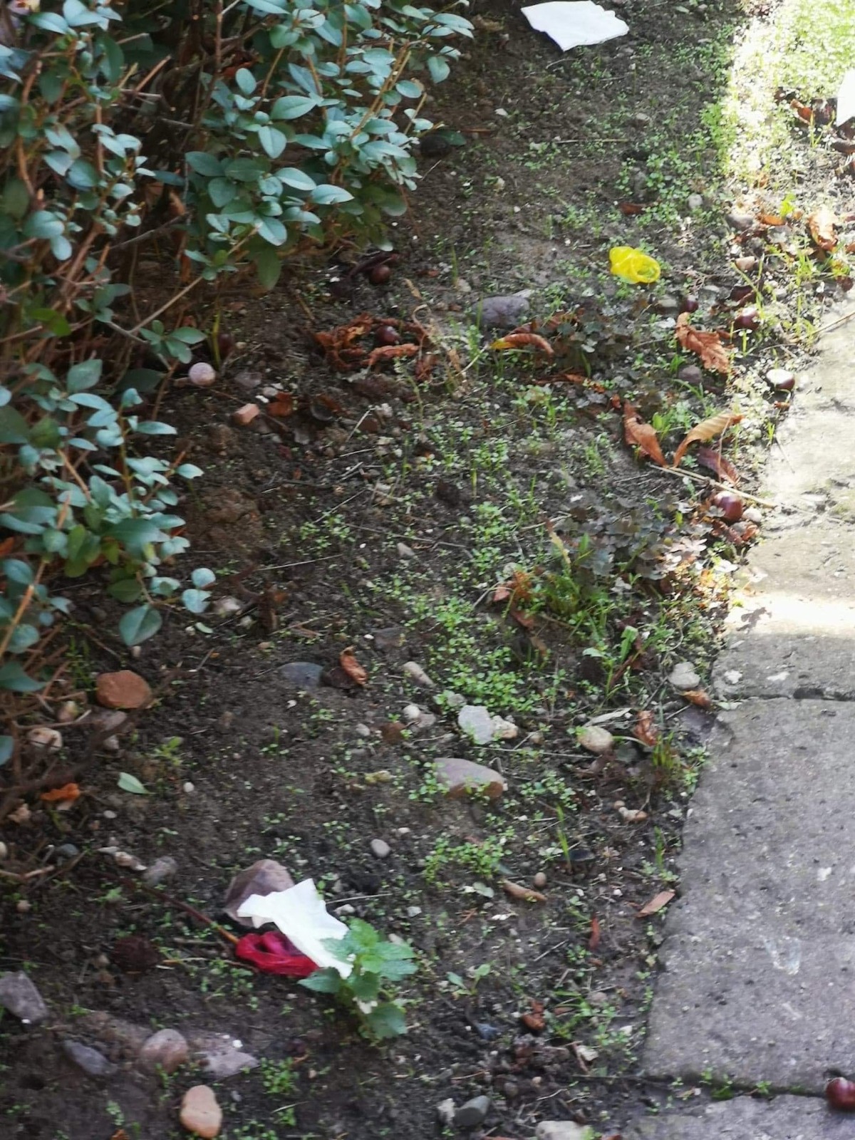 WhatsApp Image 2020-11-19 at 16.46.30(1)