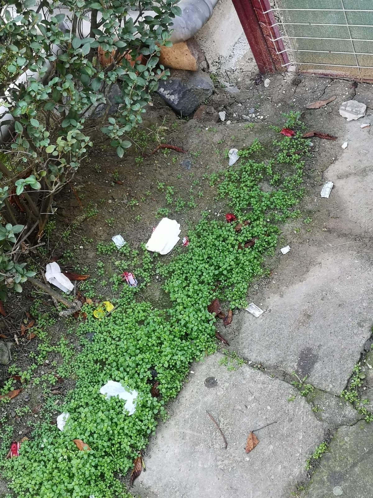 WhatsApp Image 2020-11-19 at 16.46.30