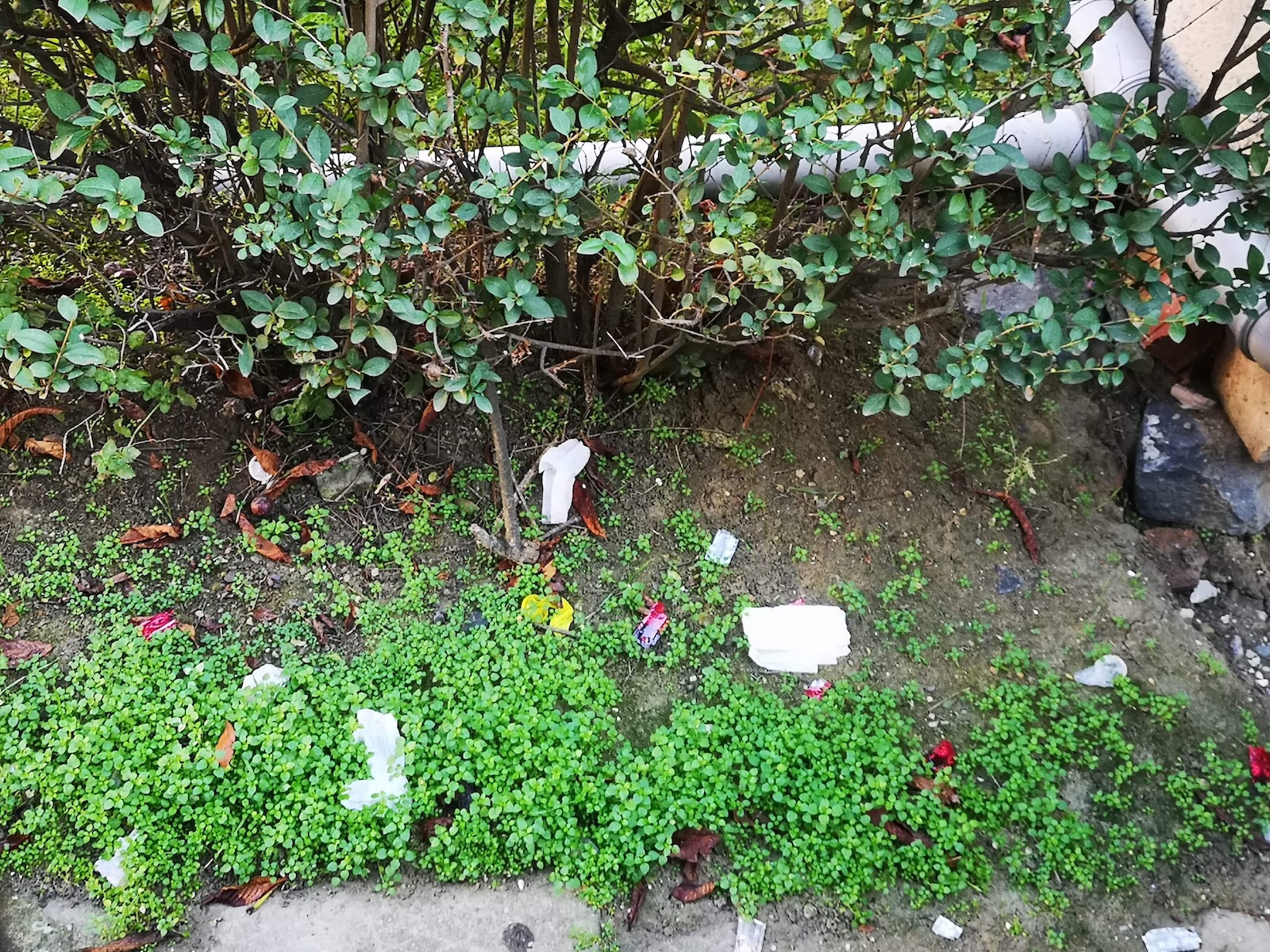 WhatsApp Image 2020-11-19 at 16.46.29(3)