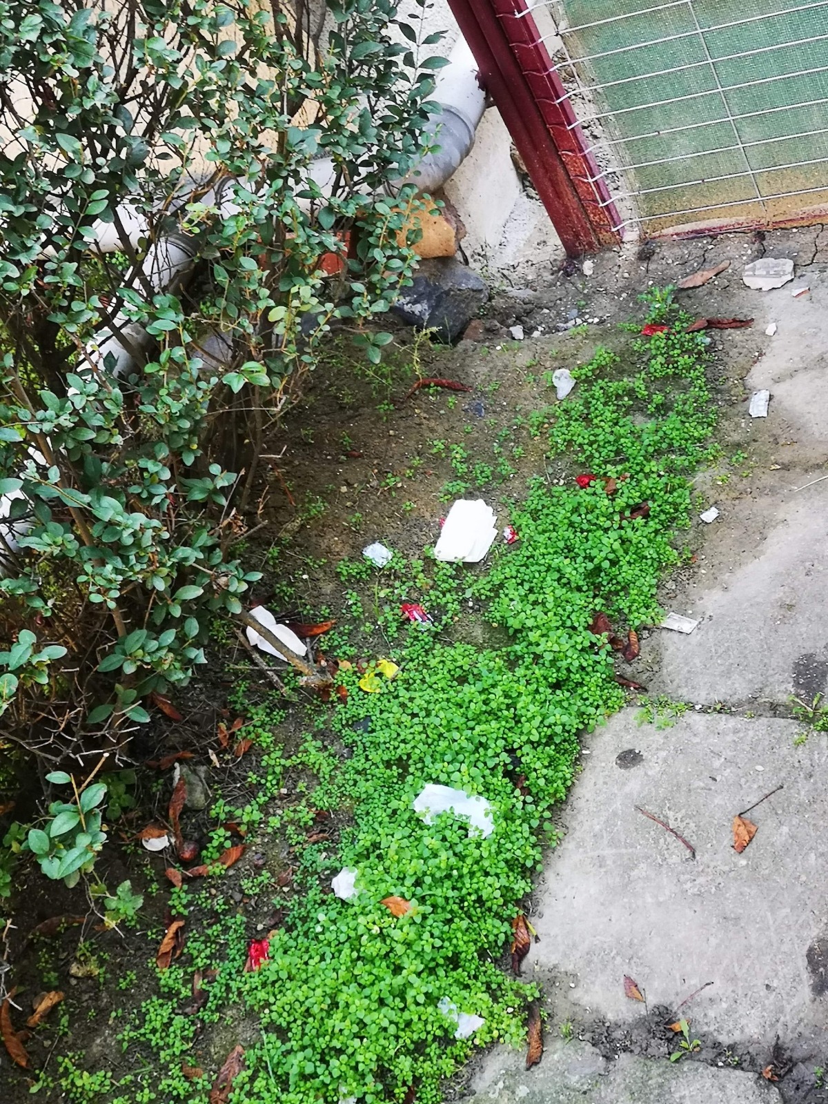 WhatsApp Image 2020-11-19 at 16.46.29(2)