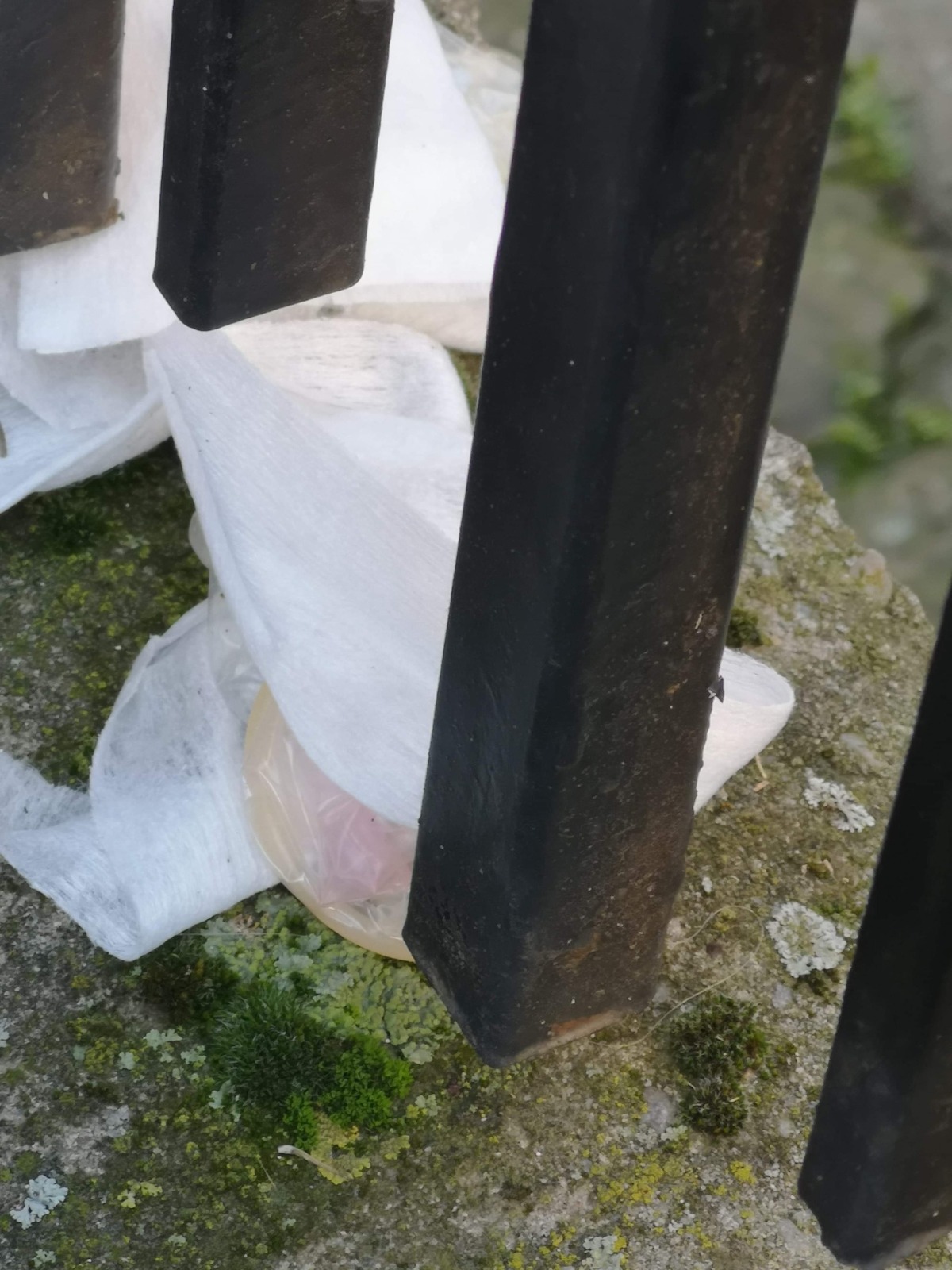 WhatsApp Image 2020-11-19 at 16.46.29