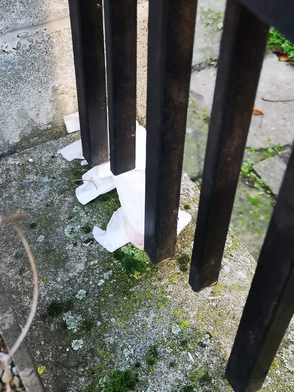 WhatsApp Image 2020-11-19 at 16.46.29(1)