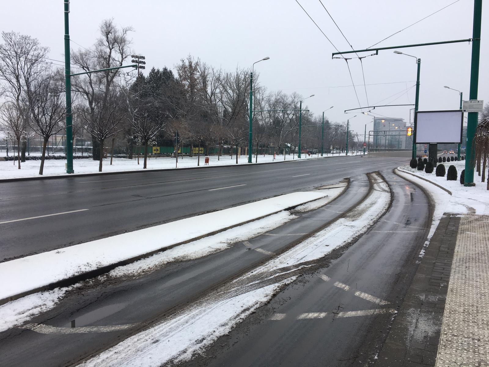 strazi luni dimineata deszapezire timisoara 18 ian 2