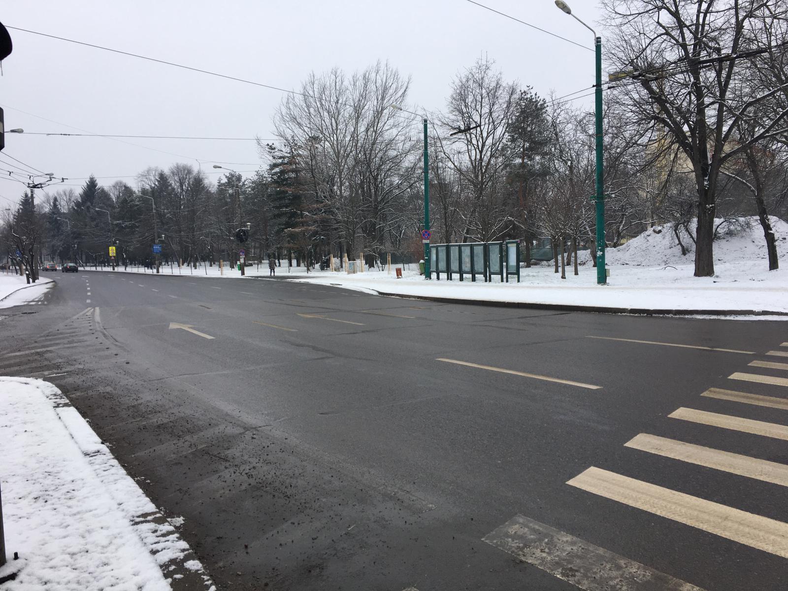 strazi luni dimineata deszapezire timisoara 18 ian 3