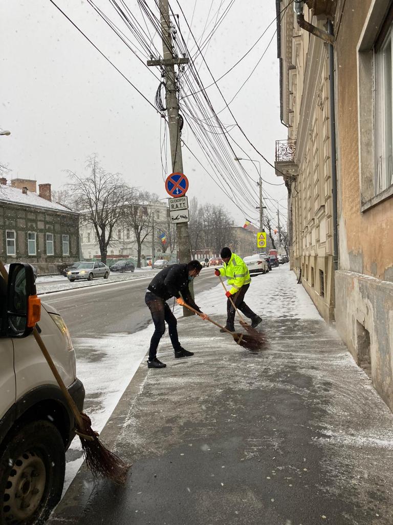 deszapezire zapada brantner (6)