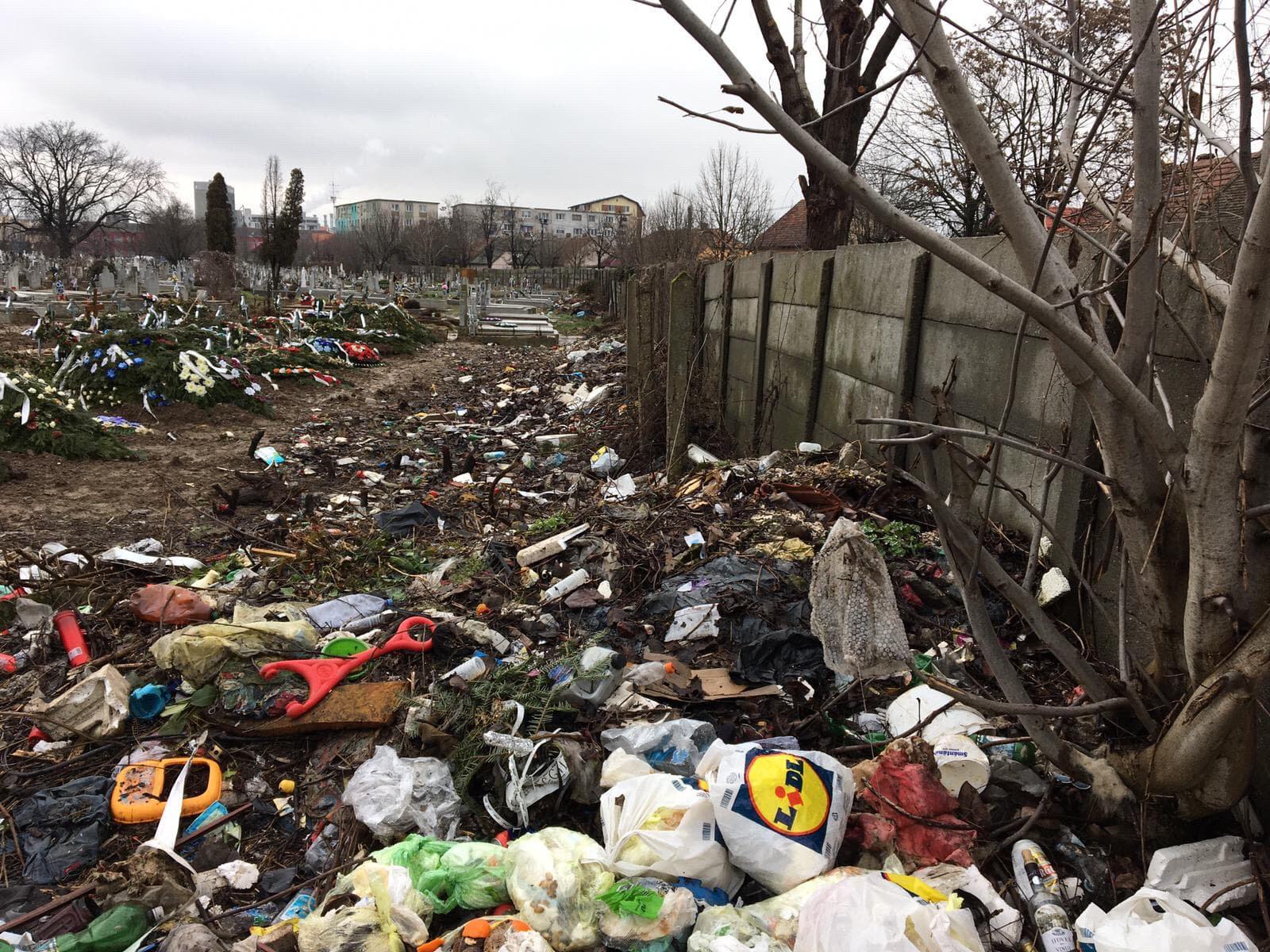 gunoaie cimitir buziasului (3)