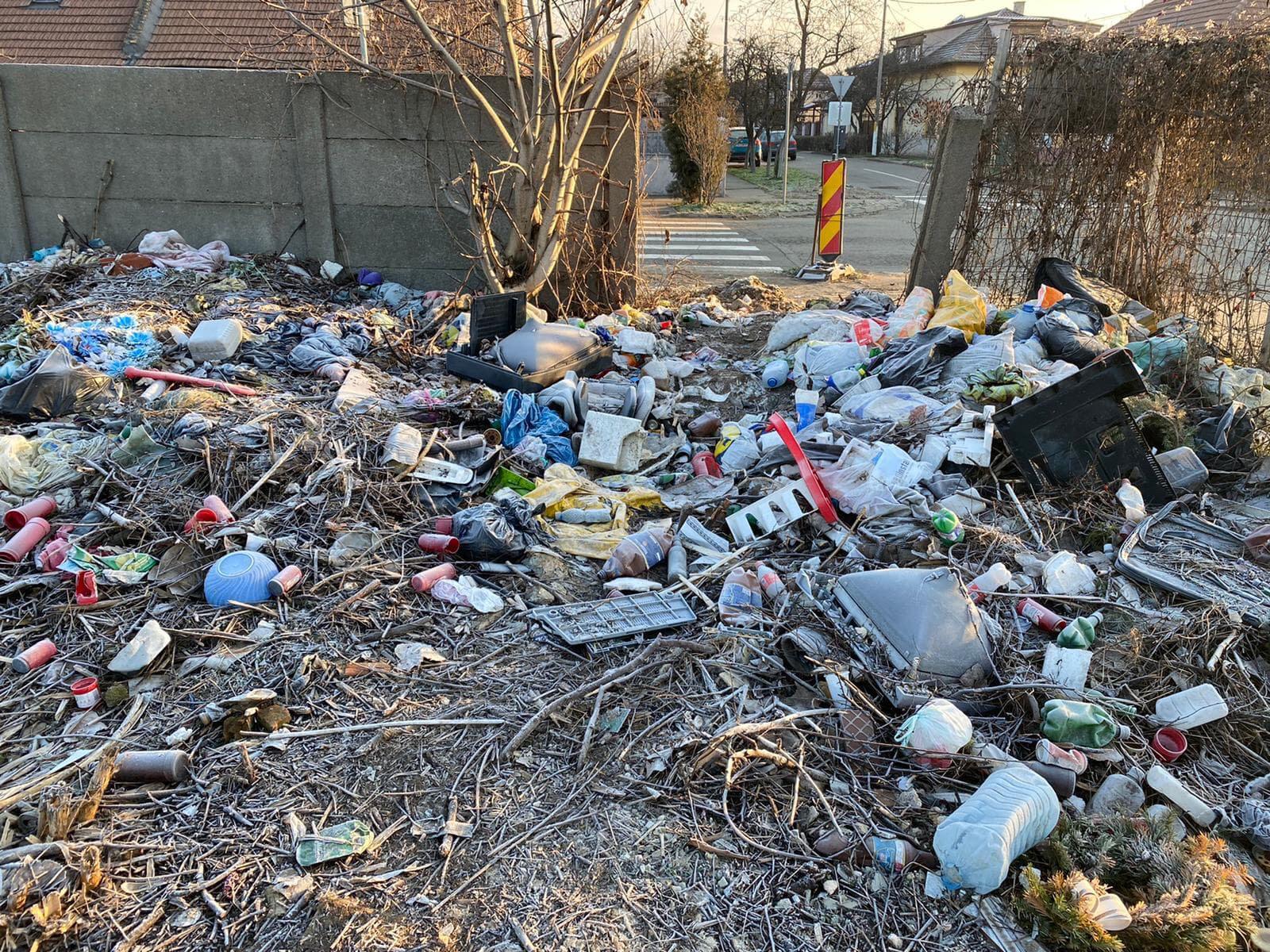 gunoaie cimitir buziasului (5)