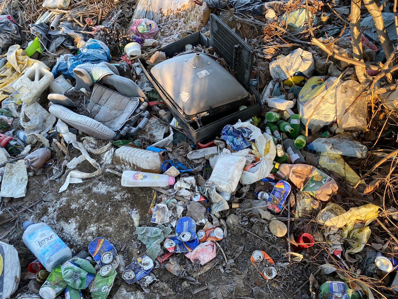 gunoaie cimitir buziasului (6)