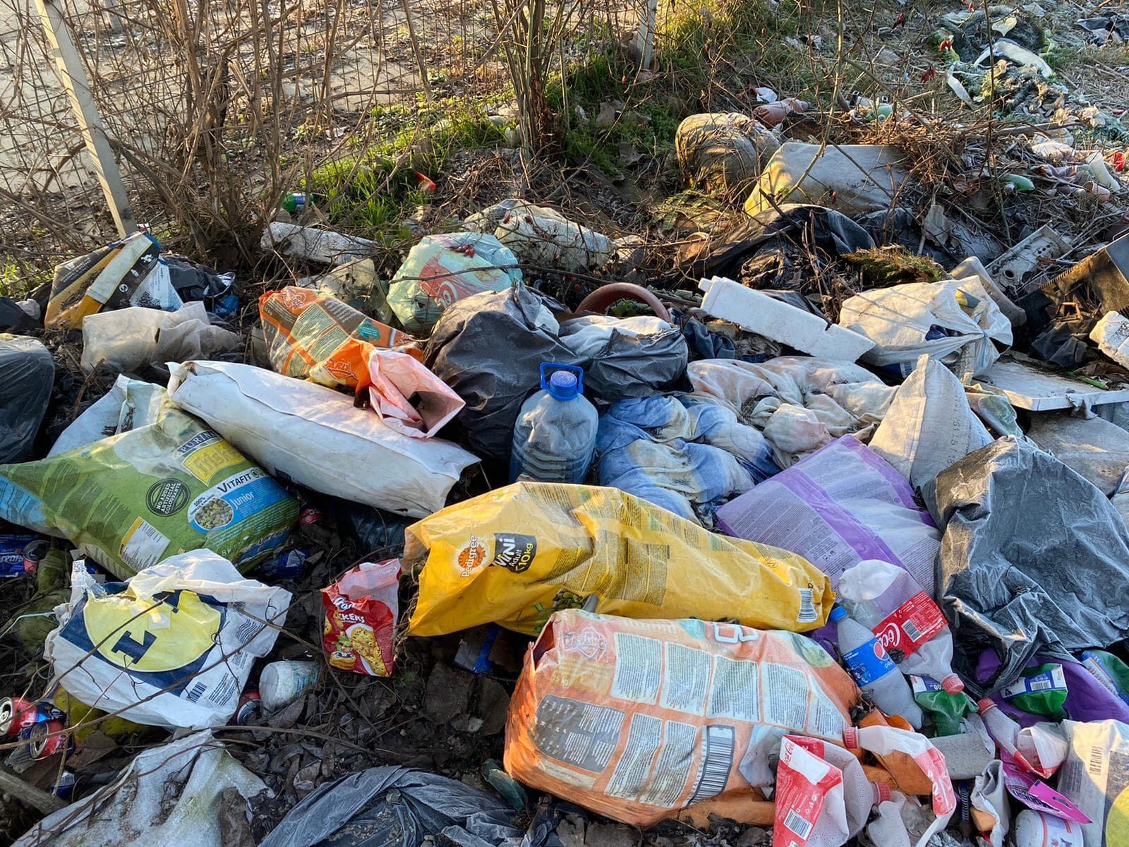 gunoaie cimitir buziasului (7)