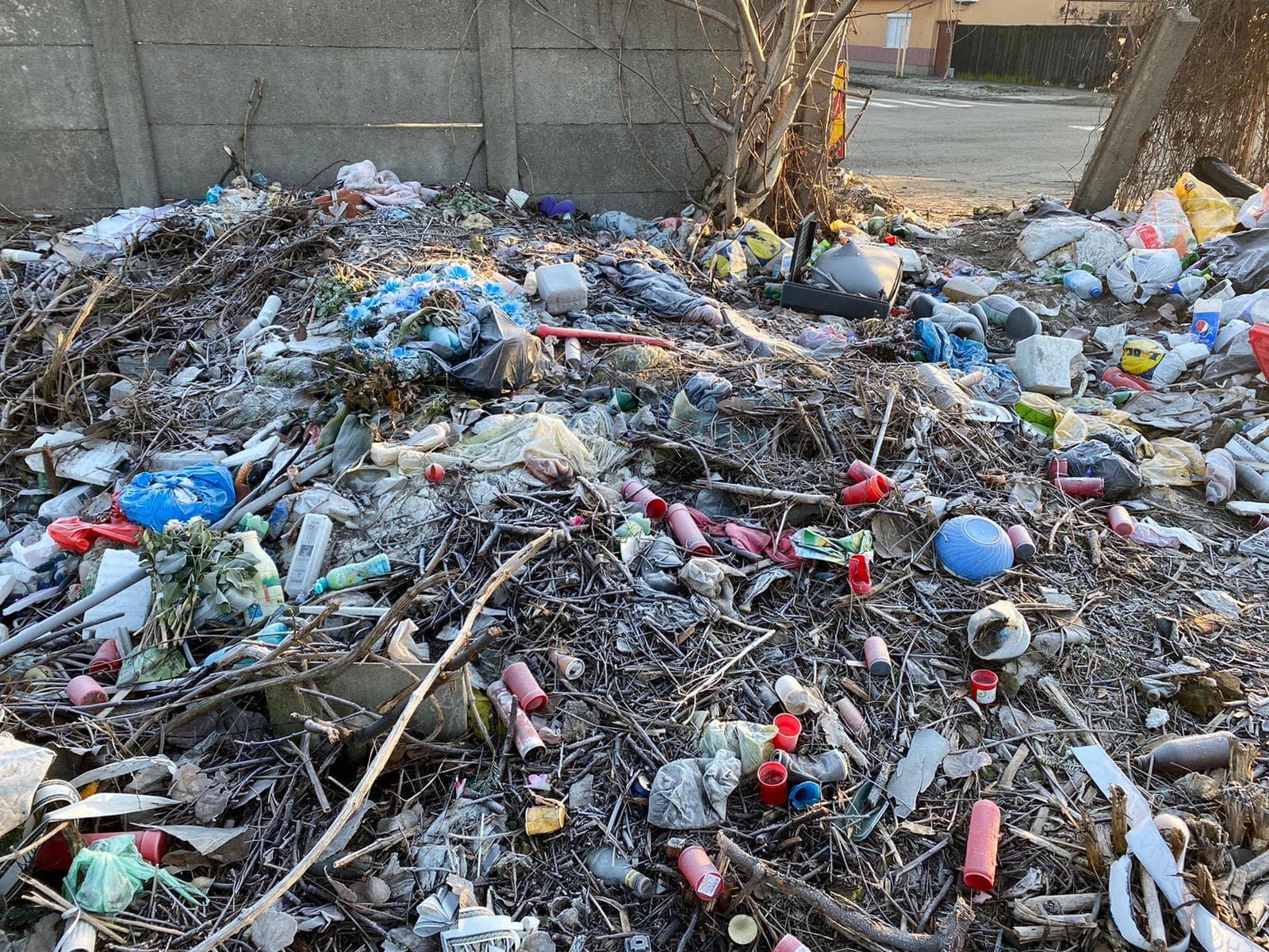 gunoaie cimitir buziasului (8)