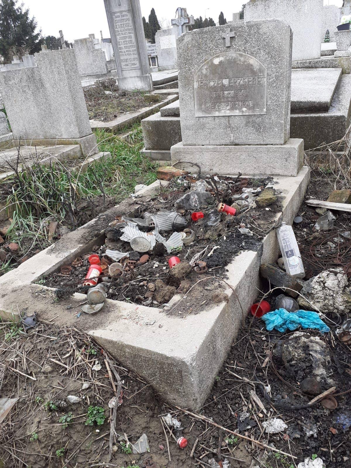 gunoaie cimitir buziasului (15)