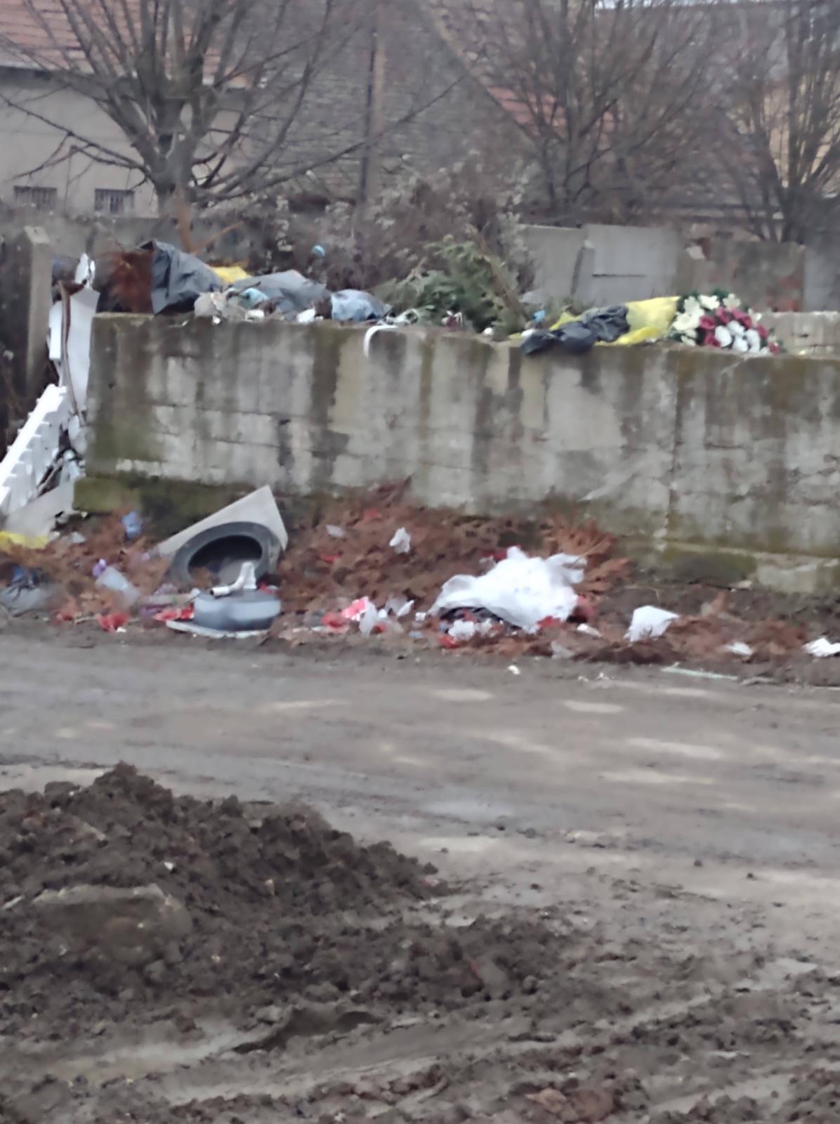 gunoaie cimitir buziasului (16)