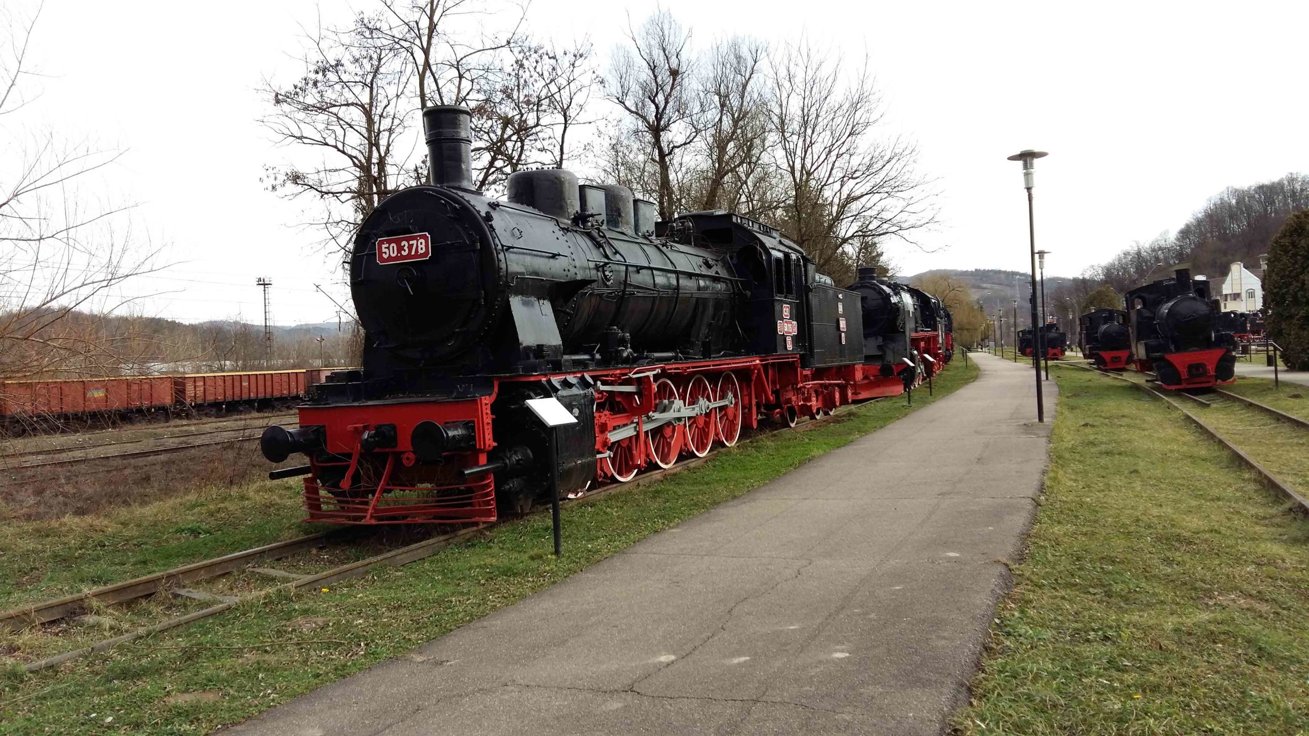 resita zoo si locomotive (5)